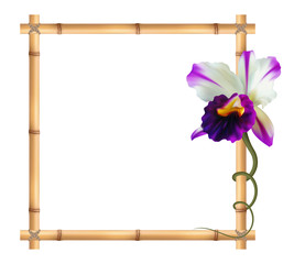 Realistic bamboo frame with orchid flower.