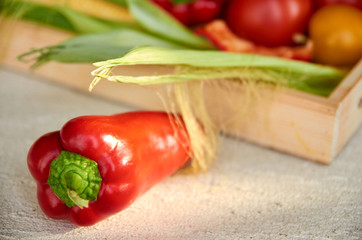 Fresh red bell pepper in the foreground in a sunshine on gray concrete surface close up. Bell pepper, corn and tomato on blurred background. Side view