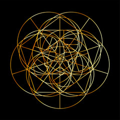 Fototapeta premium Fibonacci Spiral- The sacred geometry