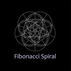 Fibonacci Spiral- The sacred geometry