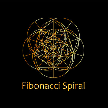 Fibonacci Spiral- The sacred geometry 