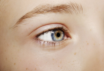 Fototapeta premium A beautiful insightful look eye. Close up shot