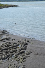 Plage de sable et rochers