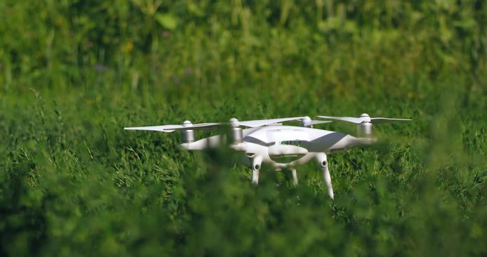 The takeoff of a white drone over a green field of sunflowers