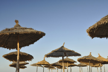 Пляжные зонтики на фоне голубого неба