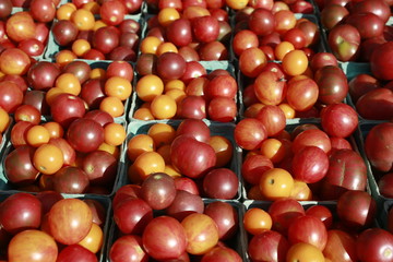 Cherry tomatoes for sale at the Farmers Market