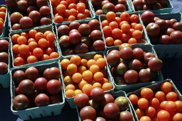 Cherry tomatoes for sale at the Farmers Market