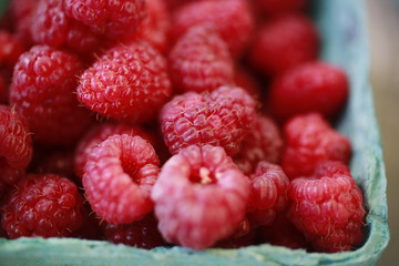 Raspberries for sale at the Farmers Market