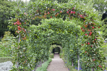 Red and green apple arch above a stone walkway leading to a gate, in a summer, fruit and vegetable garden in an English countryside . - 168091741