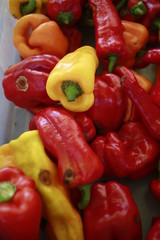 Peppers for sale at the Farmers Market