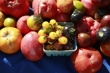 Heirloom tomatoes for sale at the Farmers Market