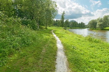 Summer natural landscape.