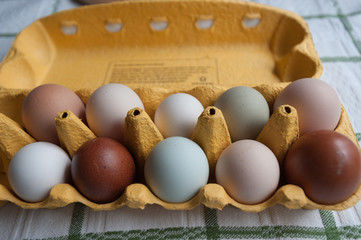 Organic eggs