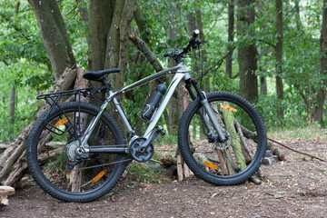 Fototapeta na wymiar Mountain bike tied to a tree in the woods in the summer morning.