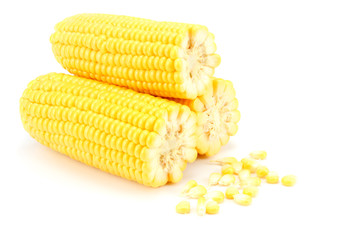 Fresh corn on cob isolated on white background