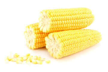 Fresh corn on cob isolated on white background