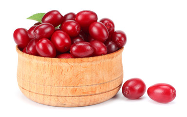 dogwood berries in wooden bowl isolated on white background