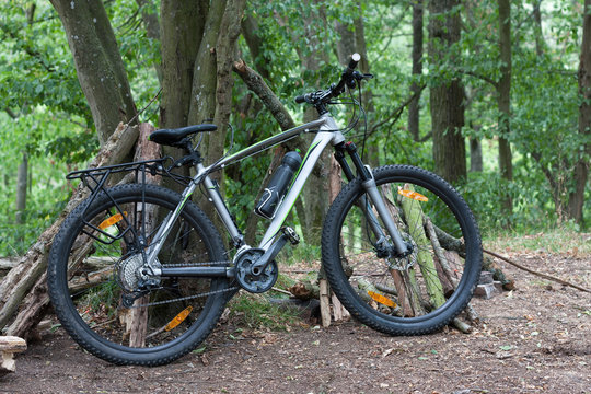 Mountain bike tied to a tree in the woods in the summer morning.