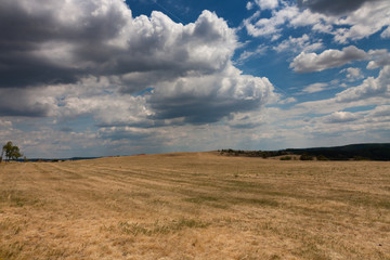 Fototapeta premium The Mohelen step, national nature reserve in the summer cloudy day.