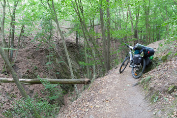 Fototapeta premium Mountain bike with saddlebags in the woods.