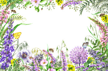 Obraz na płótnie Canvas Watercolor wildflowers frame