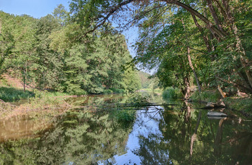 The valley of river Oslava, Czech Republic in the summer day.