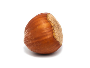 hazelnut isolated on white background