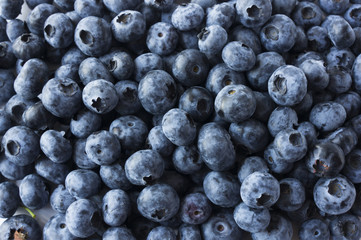 Fresh Blueberry Background. Texture blueberry berries close up