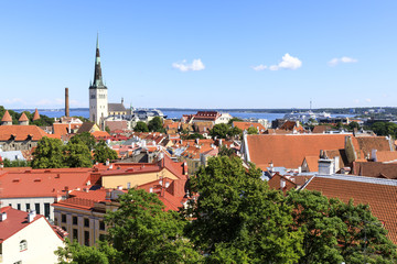Obraz premium Tallinn old town city panorama in summer