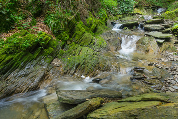 Wildbach im Sauerland