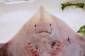 Stingray at the fish market