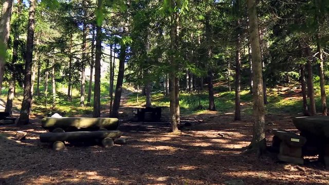 Area picnic nel bosco