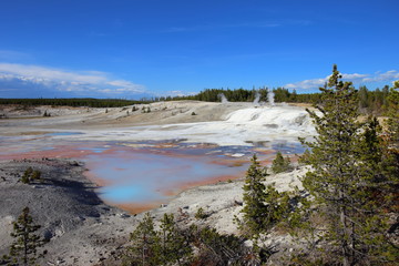 geysers