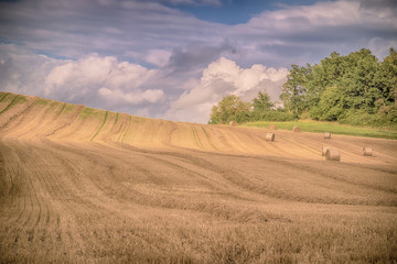 Fototapeta premium Landschaft im Sommer, abgeerntetes Kornfeld mit Strohballen