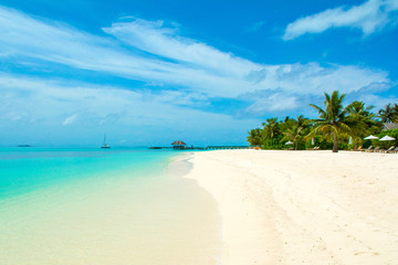 Fototapeta na wymiar Beautiful sandy beach with sunbeds and umbrellas in Indian ocean, Maldives island