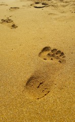 Impronte in spiaggia al mare
