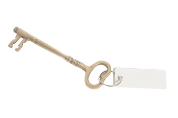 Antique golden key and blank tag