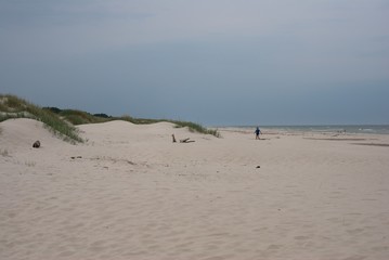 Sand dunes in Leba, Poland