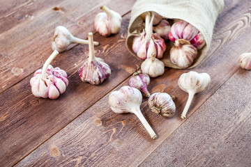 Garlic. Garlic Cloves and Garlic Bulb on a wooden vintage rustic table.