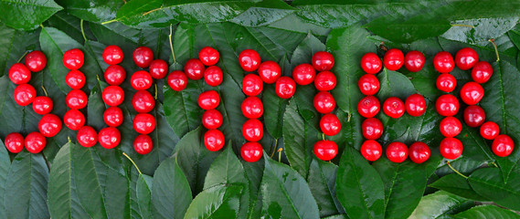 Cherry on leaves with text Summer. Creative concept of fruit