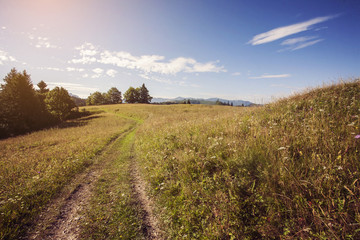 Obraz premium Beautiful Slovak landscape - Mala Fatra mountain
