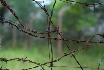 Old and rusty barbed wire
