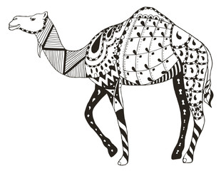 Camel zentangle stylized, vector, illustration, freehand pencil. Anti stress coloring books for kids and adults.