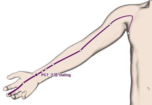 Drawing Acupuncture Point PC7 Daling, 3D Illustration