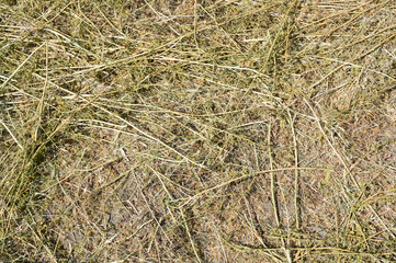 Texture of straw