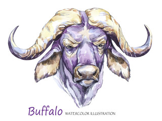 Watercolor formidable bull on the white background. African animal. Wildlife art illustration. Can be printed on T-shirts, bags, posters, invitations, cards, phone cases, pillows.
