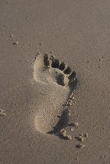Footprint in damp sand on the beach