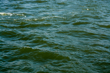 Abstract green water wave