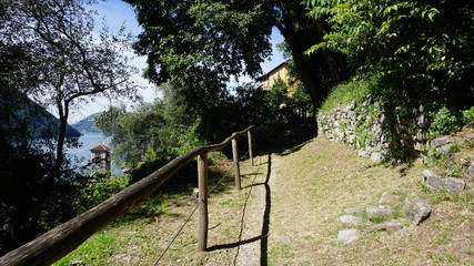 Olivenweg bei Gandria am Luganer See, Schweiz