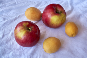 Apples and apricots on white cloth